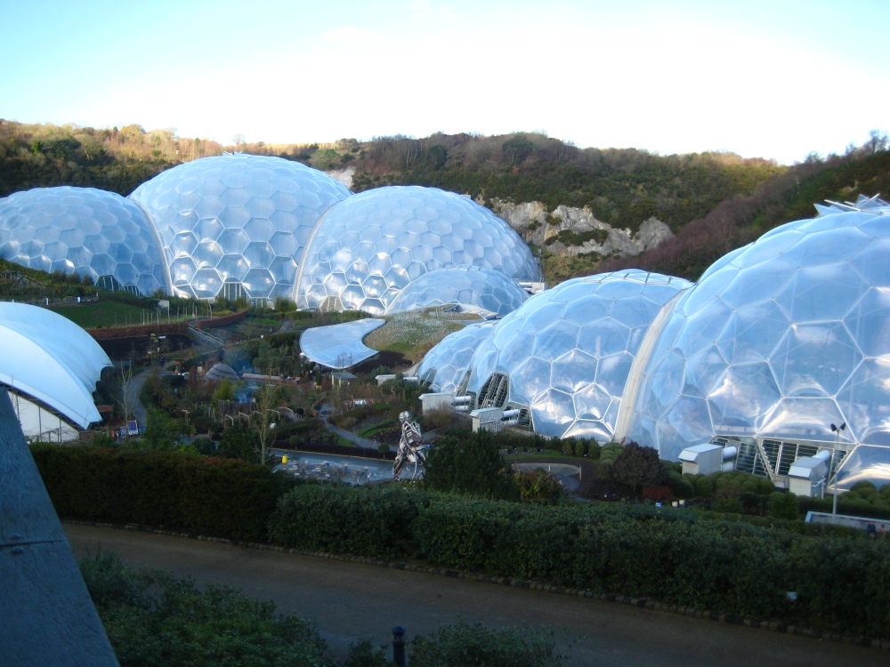 The Biomes 
